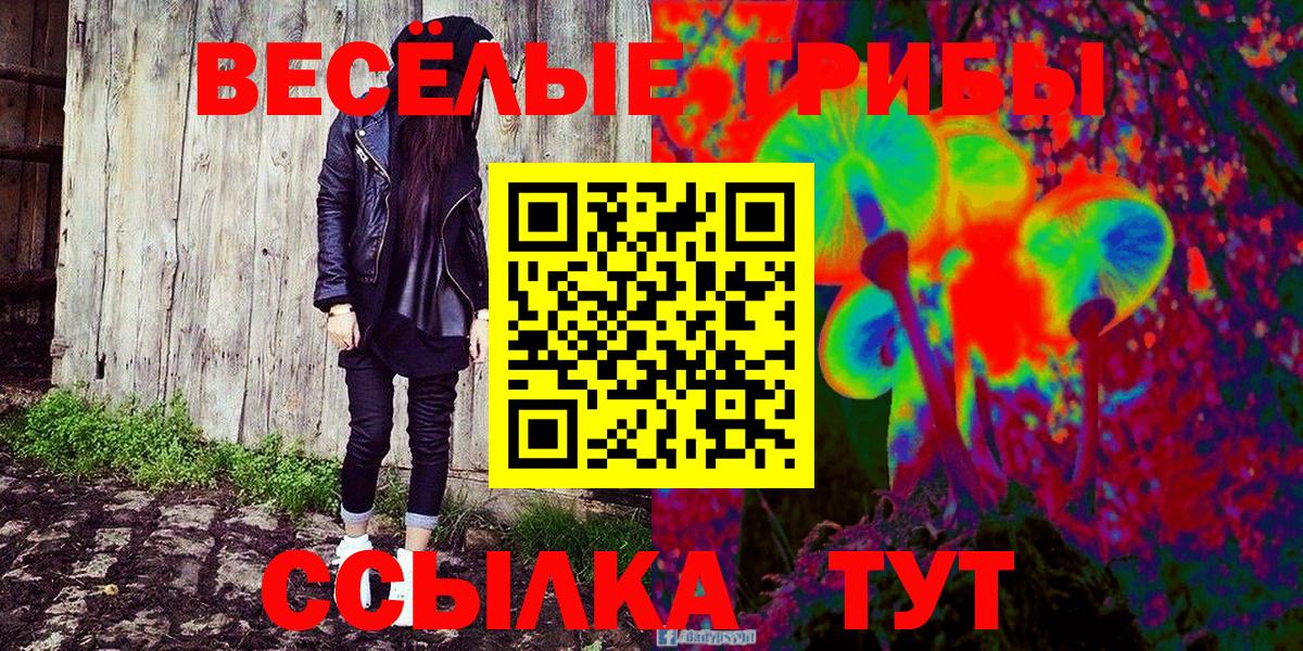 Кузнецк  Галлюциногенные грибы Cubensis  Вход с VPN 