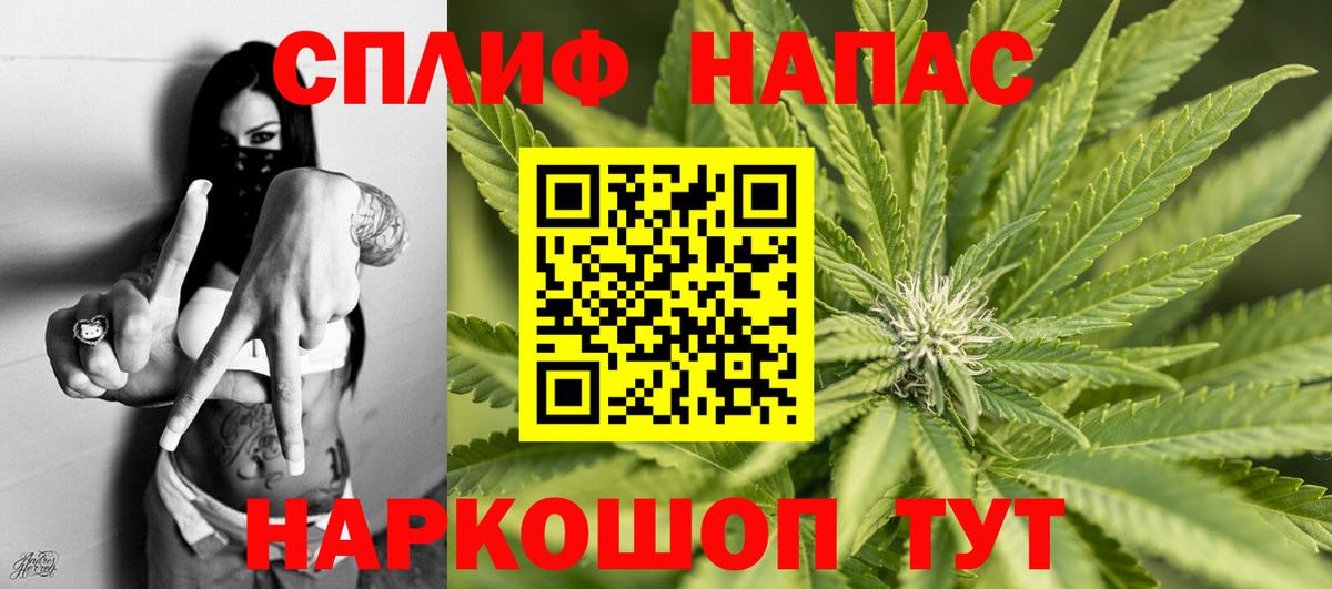 МАРИХУАНА семена Кузнецк